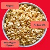 Lesser Evil Popcorn Fiery Hot
