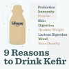 Lifeway Organic Kefir Blueberry