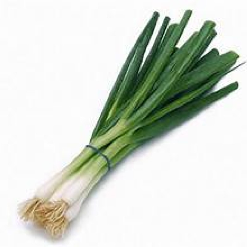 Scallion Scallion