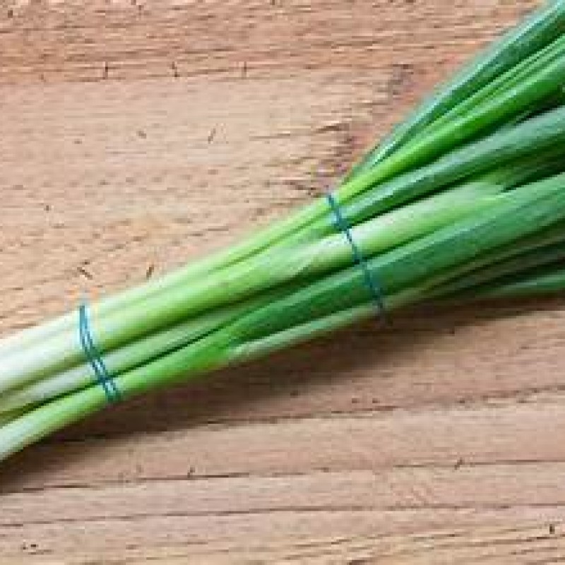 Scallion Scallion