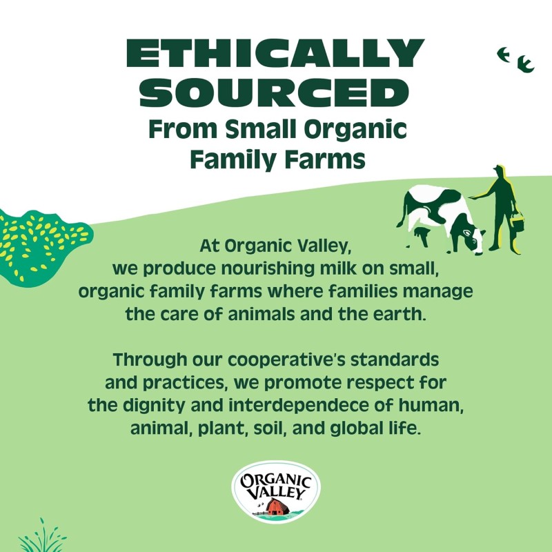 Mexican Blend Grated Cheese