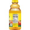 Mott's Original Apple Juice 64floz