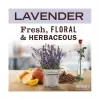 Mrs. Meyer’s Clean Day Soy Candle Lavender