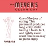 Mrs. Meyer's Hand Soap Rhubarb