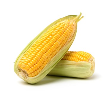 Corn Corn