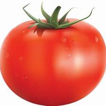 Tomato 1LB