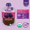Plum Organic Just Prunes