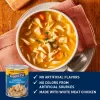 Progresso Chicken & Homestyle Noodles