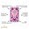 Pukka Organic Tea Elderberry & Echinacea