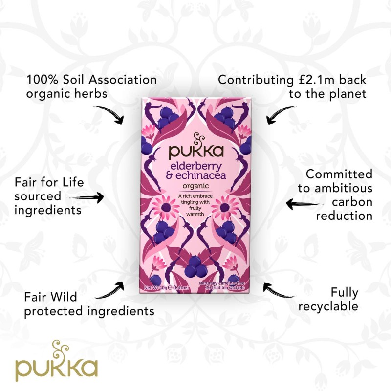 Pukka Organic Tea Elderberry & Echinacea