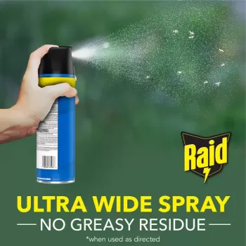 Raid Flying Insect Killer Spray