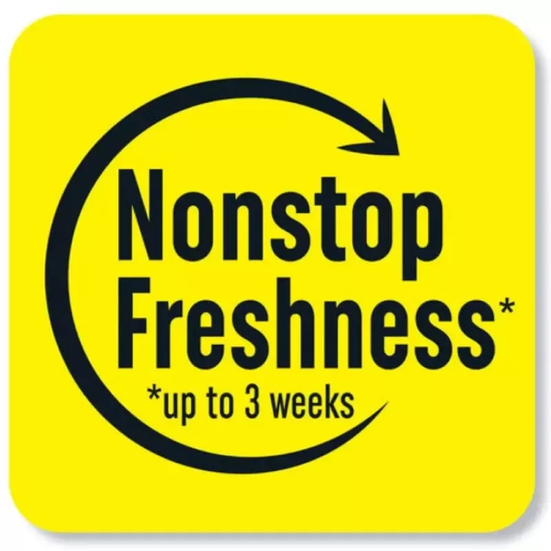 Renuzit Air Freshener After the Rain