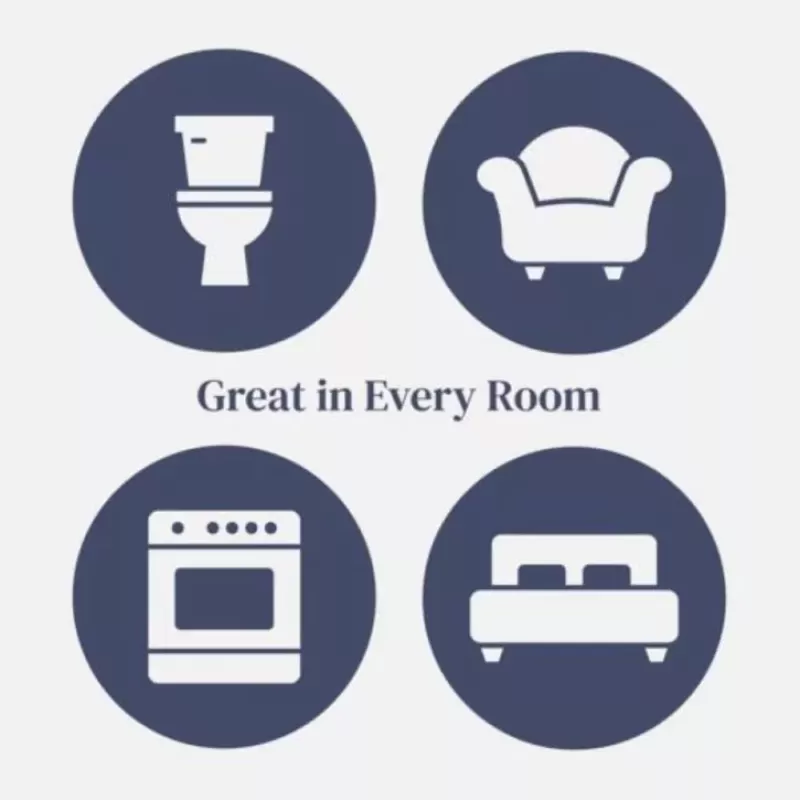 Renuzit Air Freshener After the Rain