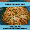 RiceSelect Whole Wheat Orzo