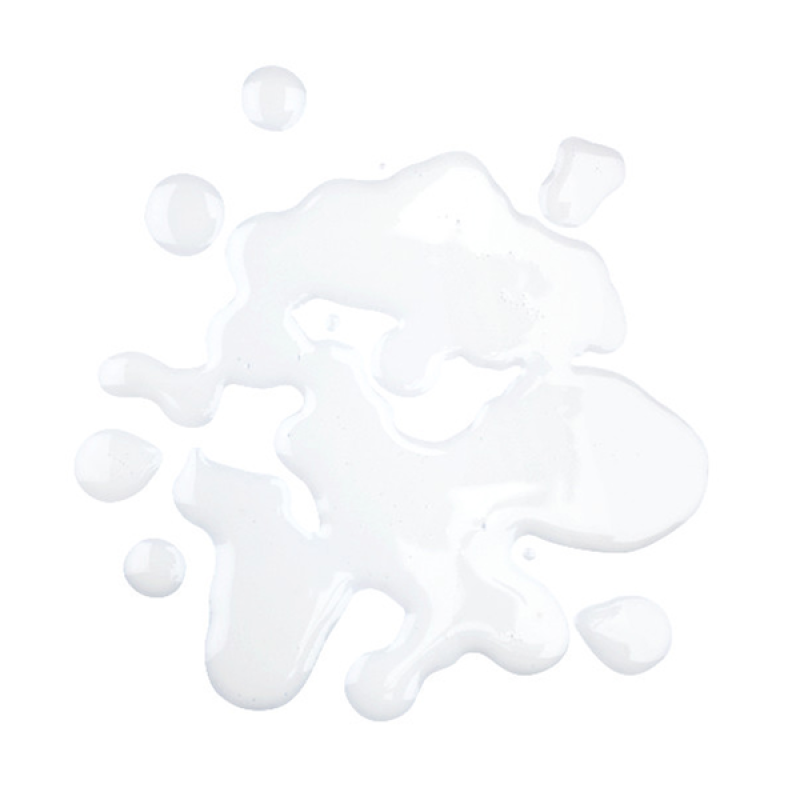 Roland Coconut Milk Lite