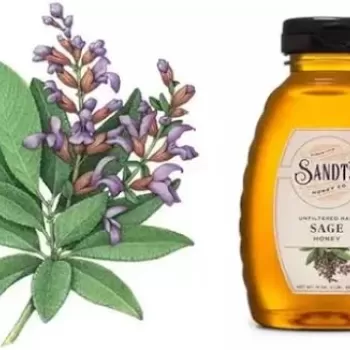 Sandt’s Sage Honey