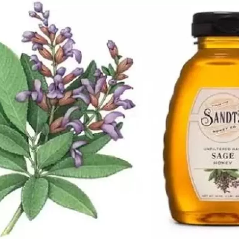 Sandt’s Sage Honey