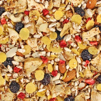 Seitenbacher Musli GF Strawberry