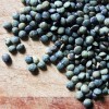 Shiloh Farm French Lentils