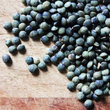 Shiloh Farm French Lentils