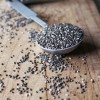 Shiloh Farm Organic Chia Seed Black