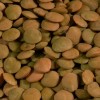 Shiloh Farms Organic Brown Lentils