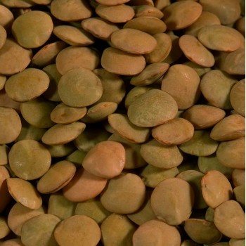 Shiloh Farms Organic Brown Lentils