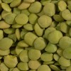 Shiloh Farms Organic Green Lentils