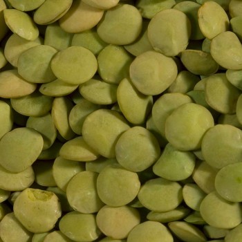 Shiloh Farms Organic Green Lentils