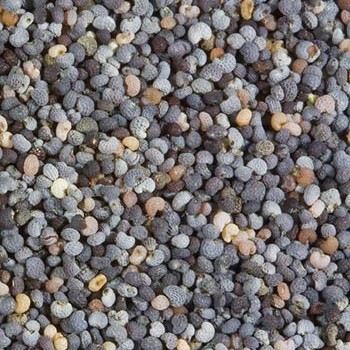 Shiloh Farms Organic Poppy Seeds