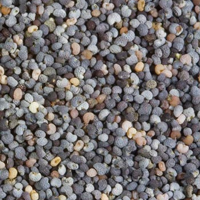 Shiloh Farms Organic Poppy Seeds