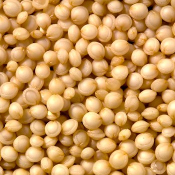 Shiloh Farms Organic Quinoa