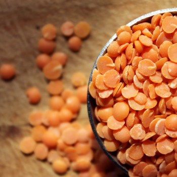 Shiloh Farms Organic Split Red Lentils