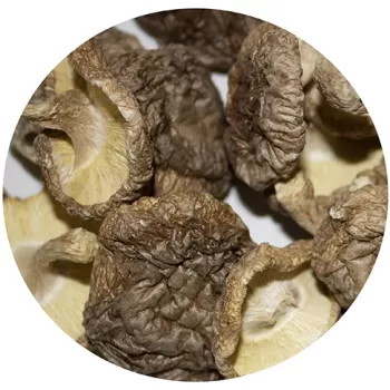 Shiloh Farms Organic Tri Color Quinoa