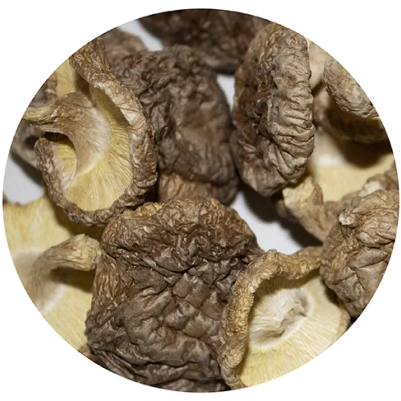 Shiloh Farms Organic Tri Color Quinoa