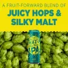 Sierra Nevada Hazy Little Thing IPA Beer 19OZ