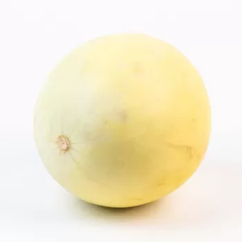 Jumbo Honeydew