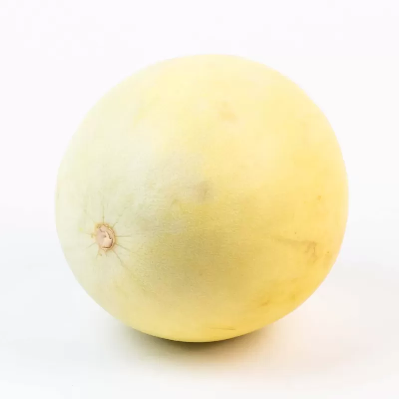 Jumbo Honeydew