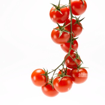 Stem Cherry Tomato