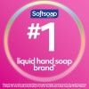Softsoap Hand Soap Antibacterial Crisp Clean