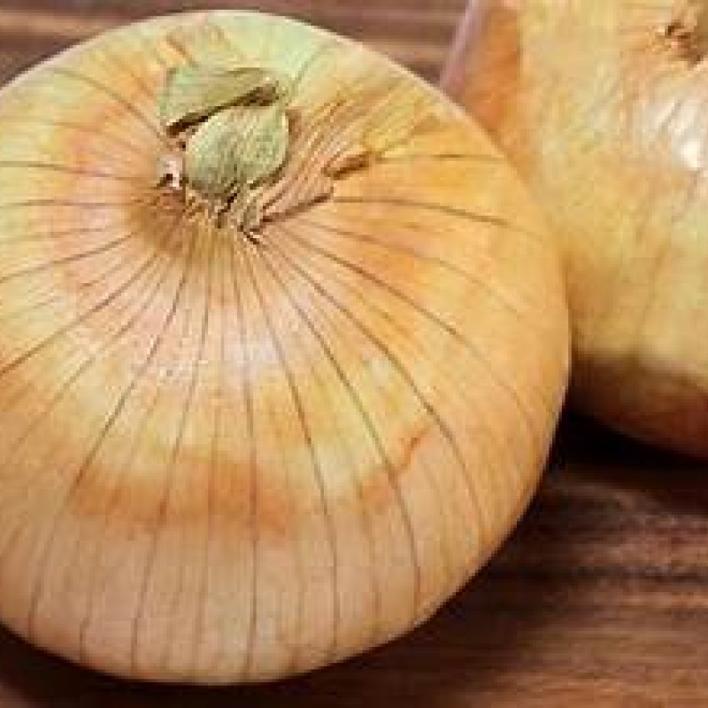 Vidalia Onion 1LB Vidalia Onion 1LB