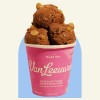 Van Leeuwen IceCream Chocolate Cookie