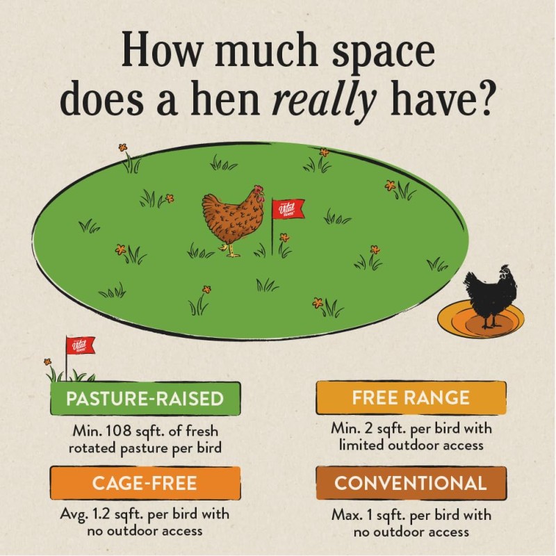 Vital Farms Pasture Raised Large Eggs
