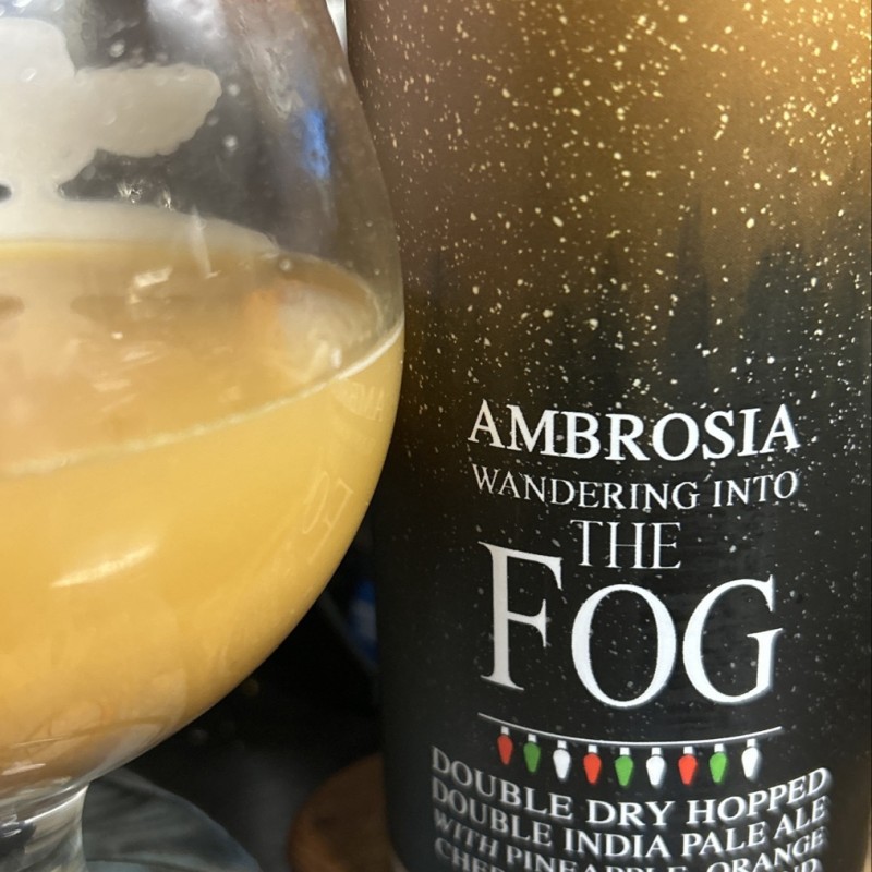 Wandering into the Fog