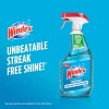 Windex Original Glass Cleaner Trigger 23 fl oz