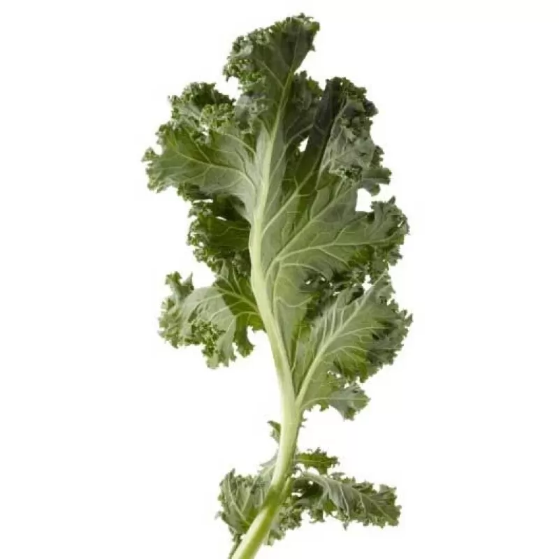 Woodstock Chopped Kale