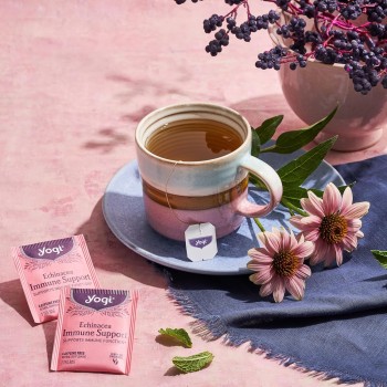 Yogi Echinacea Immune Support