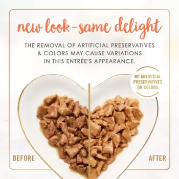 Purina Fancy Feast Chicken And Tuna Feast