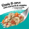 Purina Beneful Prepared Meals Chopped Blends