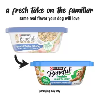 Purina Beneful Prepared Meals Roasted Turkey